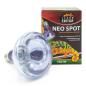 Preview: Terra ExoticaNeo Spot - 150 Watt Terrarien-Reflektorstrahler
